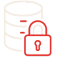 Icona Data security